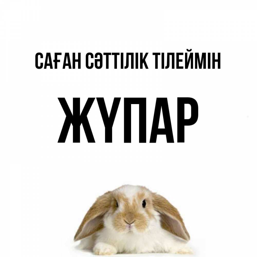 Күн сайын ашық хат с именем, ЖҮПАР Саған сәттілік тілеймін открытки с произвольным текстом который можно вставить в открытку и создать ее самостоятельно бесплатно онлайн Онлайн тегін жүктеп алу тілектері бар керемет карта 