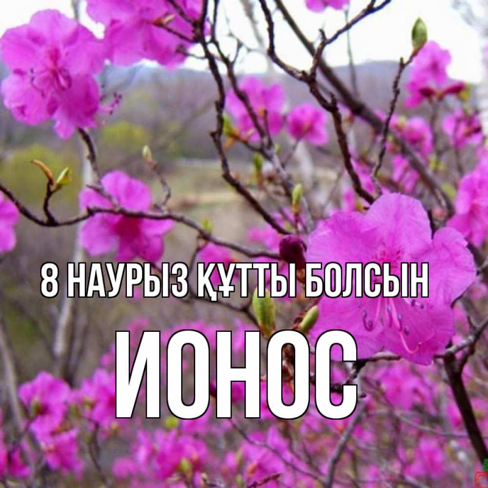 Күн сайын ашық хат с именем, Ионос 8 наурыз құтты болсын международный женский день Онлайн тегін жүктеп алу тілектері бар керемет карта 