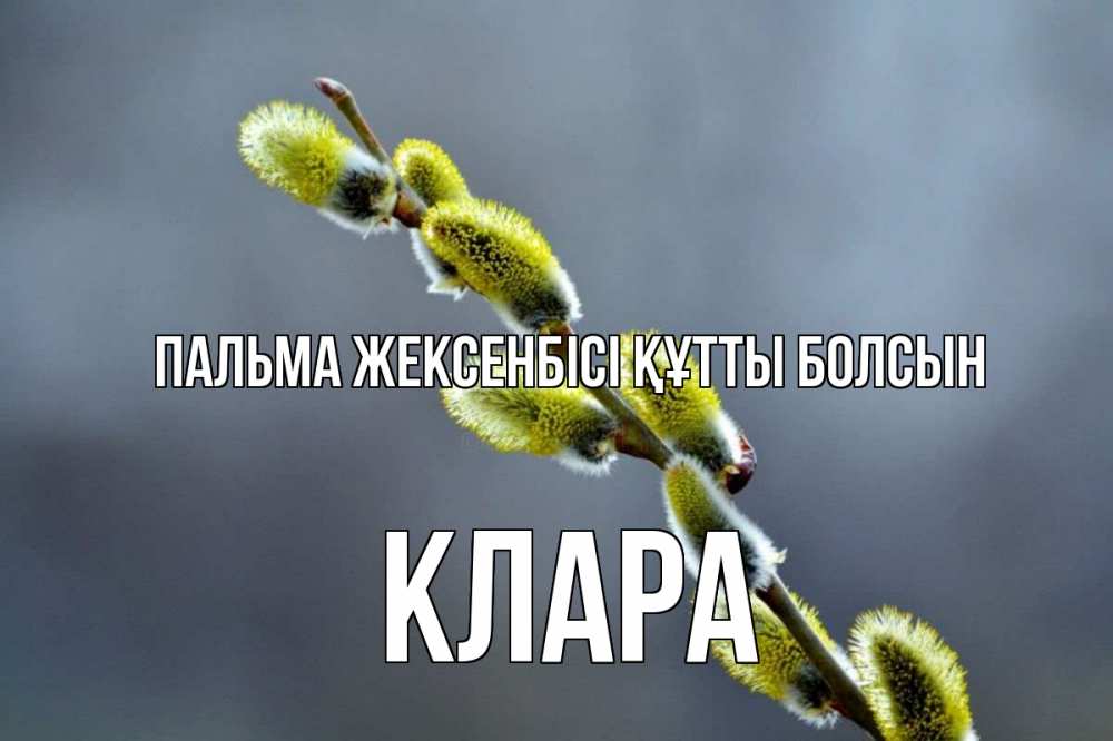 Күн сайын ашық хат с именем, КЛАРА Пальма жексенбісі құтты болсын верба Онлайн тегін жүктеп алу тілектері бар керемет карта 