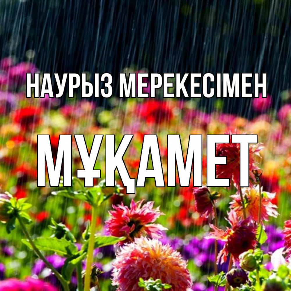 Күн сайын ашық хат с именем, МҰҚАМЕТ Наурыз мерекесімен цветы под дождиком к международному женскому дню Онлайн тегін жүктеп алу тілектері бар керемет карта 
