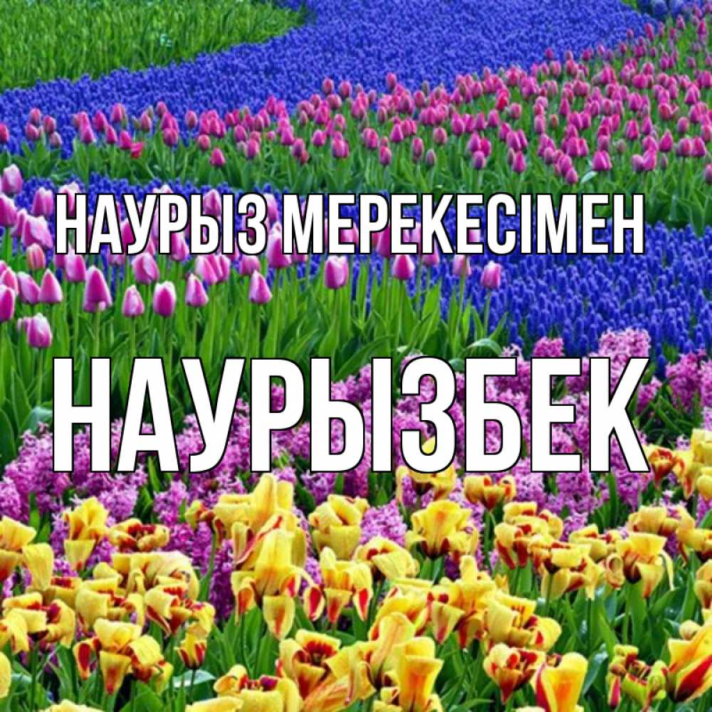 Күн сайын ашық хат с именем, Наурызбек Наурыз мерекесімен цветы Онлайн тегін жүктеп алу тілектері бар керемет карта 