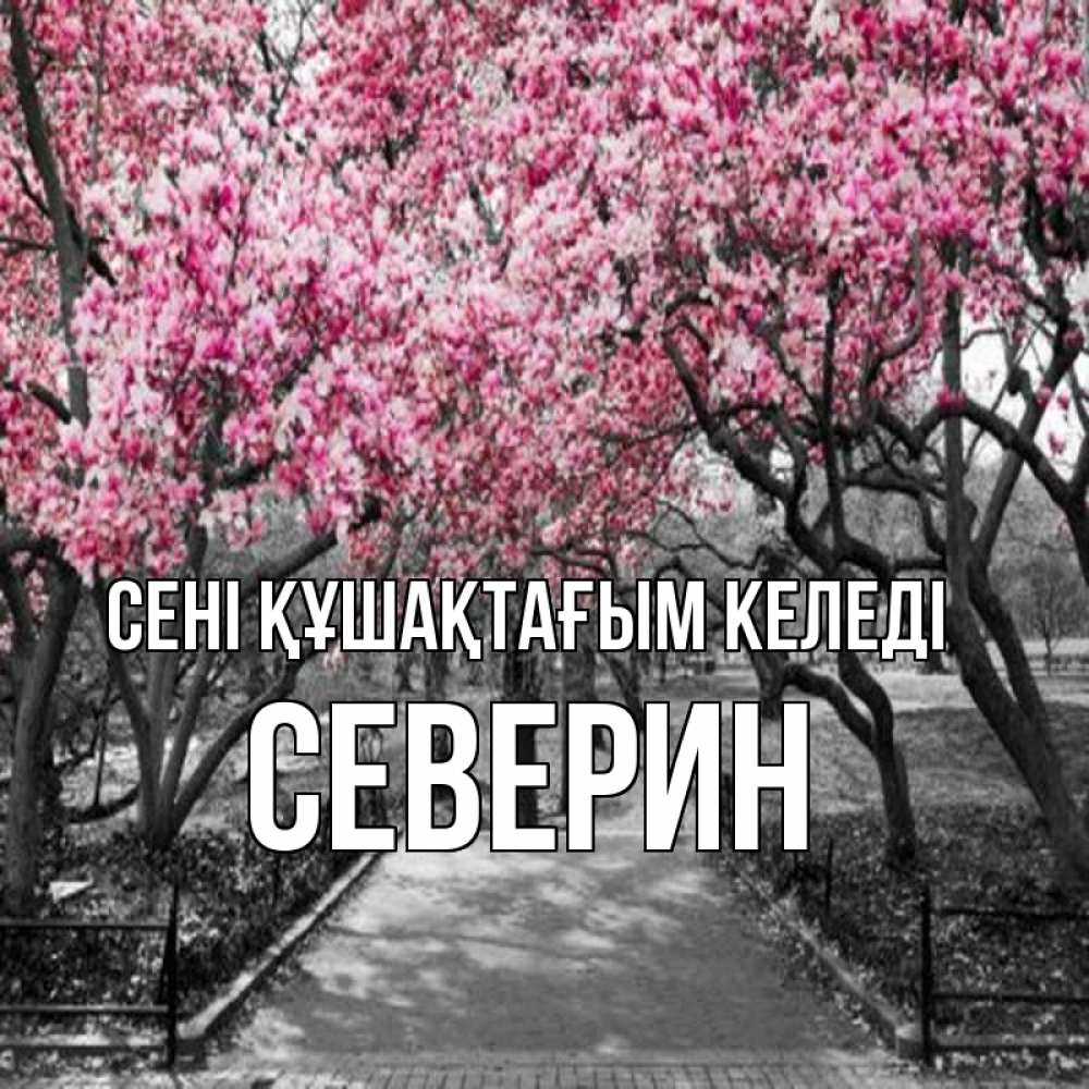 Күн сайын ашық хат с именем, Северин сені құшақтағым келеді обработанное фото Онлайн тегін жүктеп алу тілектері бар керемет карта 