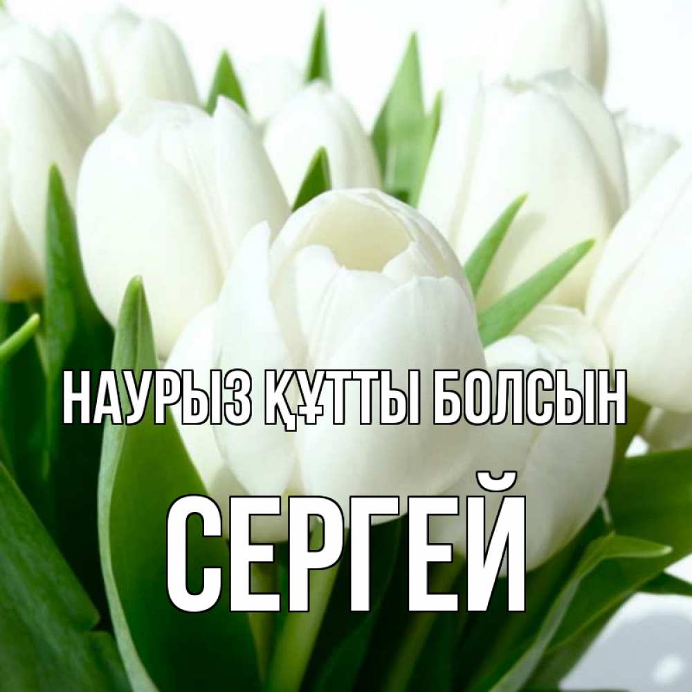 Күн сайын ашық хат с именем, Сергей Наурыз құтты болсын цветы Онлайн тегін жүктеп алу тілектері бар керемет карта 