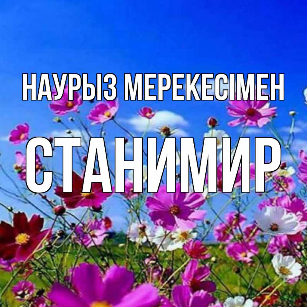 Күн сайын ашық хат с именем, Станимир Наурыз мерекесімен цветы Онлайн тегін жүктеп алу тілектері бар керемет карта 