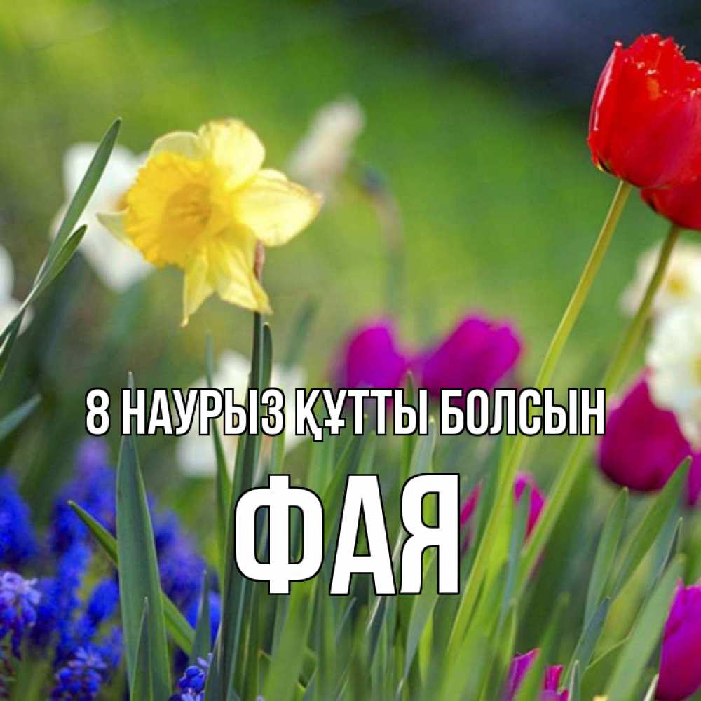 Күн сайын ашық хат с именем, Фая 8 наурыз құтты болсын международный женский день 3 Онлайн тегін жүктеп алу тілектері бар керемет карта 