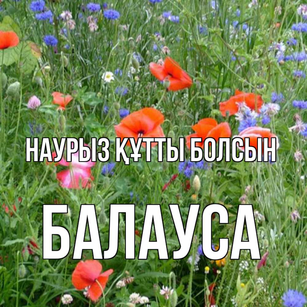 Күн сайын ашық хат с именем, БАЛАУСА Наурыз құтты болсын наурыз  4 Онлайн тегін жүктеп алу тілектері бар керемет карта 