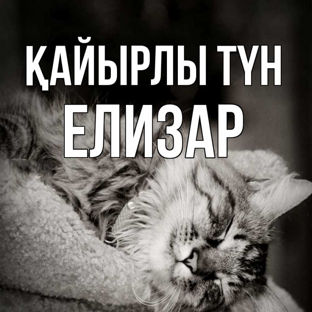 Күн сайын ашық хат с именем, Елизар Қайырлы түн котярик пушистый Онлайн тегін жүктеп алу тілектері бар керемет карта 