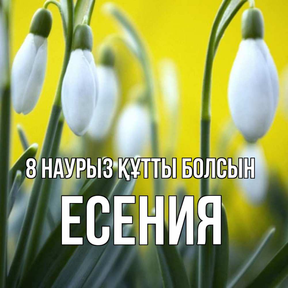 Күн сайын ашық хат с именем, Есения 8 наурыз құтты болсын весенние цветы Онлайн тегін жүктеп алу тілектері бар керемет карта 