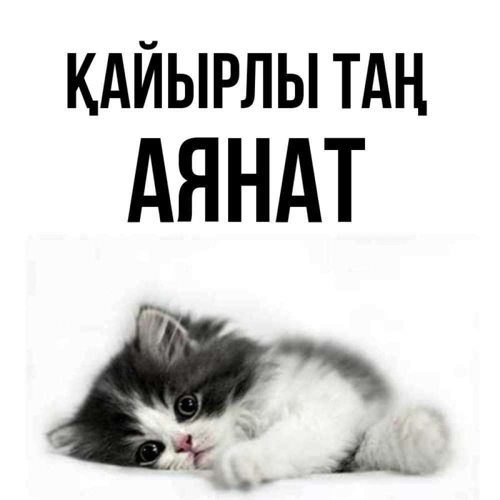 Күн сайын ашық хат с именем, АЯНАТ Қайырлы таң кот лапки Онлайн тегін жүктеп алу тілектері бар керемет карта 