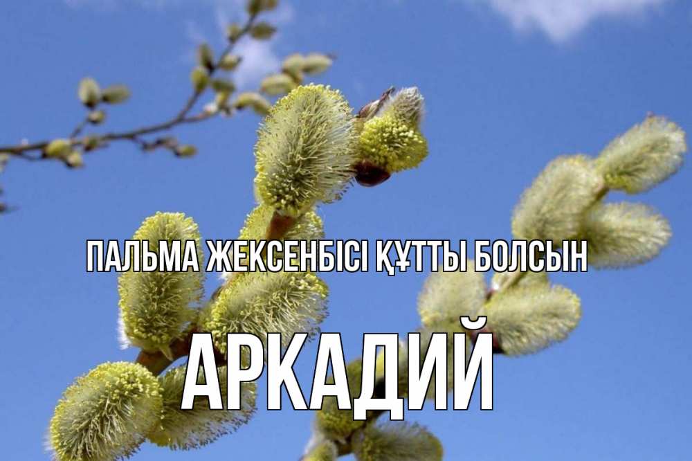 Күн сайын ашық хат с именем, Аркадий Пальма жексенбісі құтты болсын верба Онлайн тегін жүктеп алу тілектері бар керемет карта 