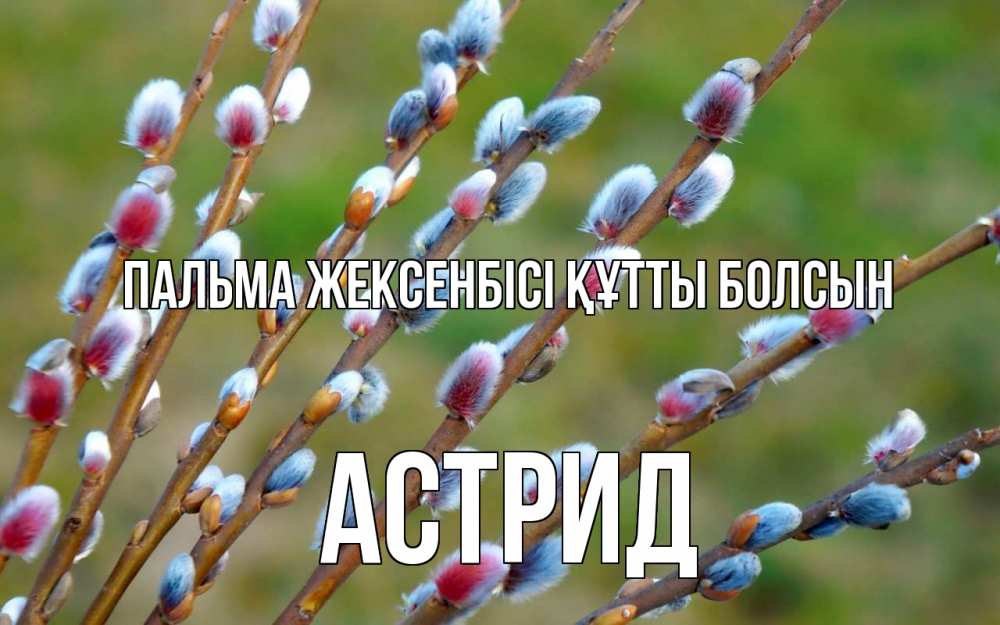 Күн сайын ашық хат с именем, Астрид Пальма жексенбісі құтты болсын верба Онлайн тегін жүктеп алу тілектері бар керемет карта 