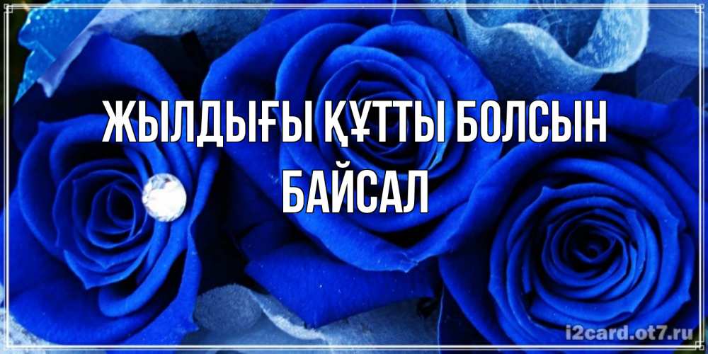 Күн сайын ашық хат с именем, Байсал Жылдығы құтты болсын синие розы в росе Онлайн тегін жүктеп алу тілектері бар керемет карта 
