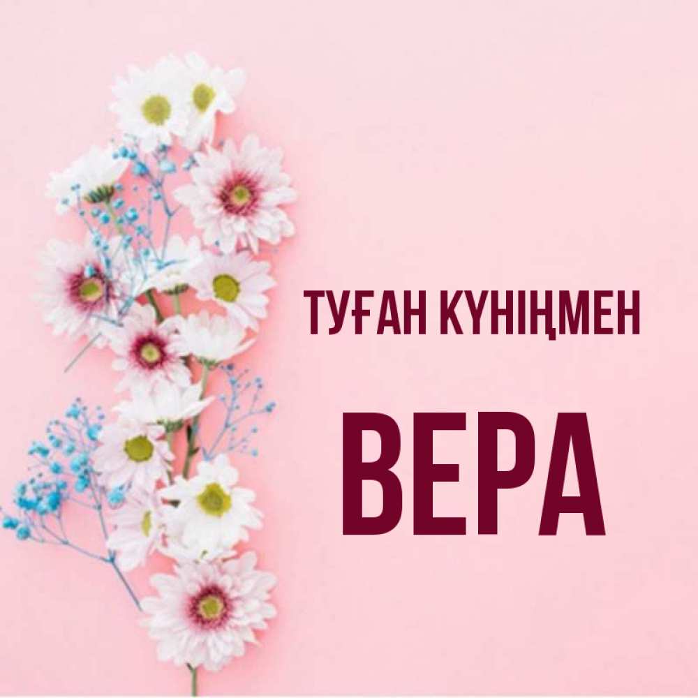 Күн сайын ашық хат с именем, Вера Туған күніңмен Родная моя с днем рождения тебя картинка с цветами белыми и голубыми Онлайн тегін жүктеп алу тілектері бар керемет карта 