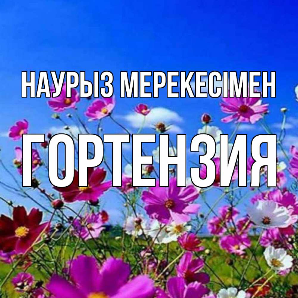 Күн сайын ашық хат с именем, Гортензия Наурыз мерекесімен цветы Онлайн тегін жүктеп алу тілектері бар керемет карта 