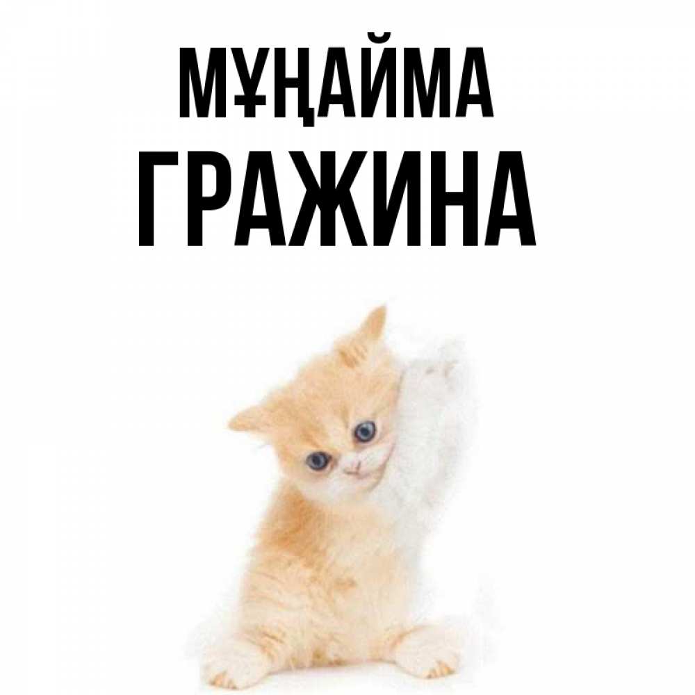 Күн сайын ашық хат с именем, Гражина Мұңайма просящий кот Онлайн тегін жүктеп алу тілектері бар керемет карта 