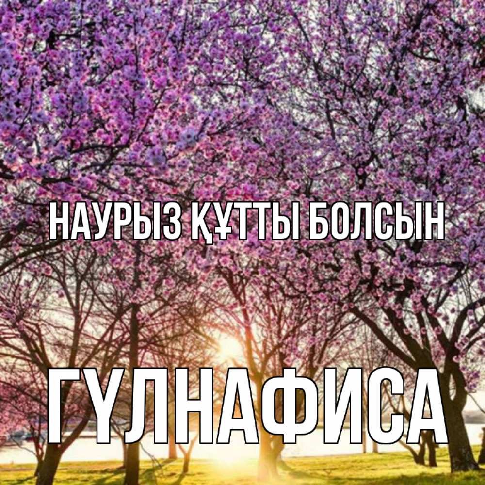 Күн сайын ашық хат с именем, ГҮЛНАФИСА Наурыз құтты болсын наурыз Онлайн тегін жүктеп алу тілектері бар керемет карта 