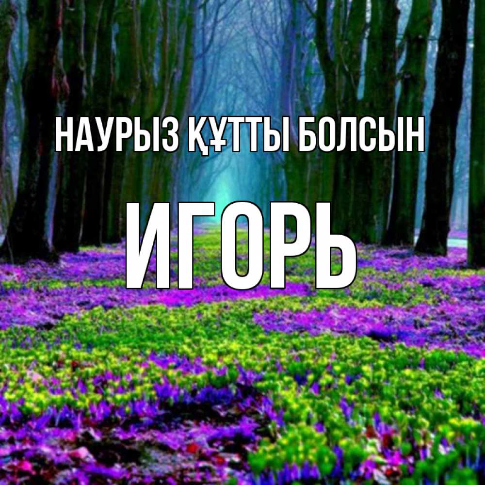 Күн сайын ашық хат с именем, Игорь Наурыз құтты болсын фиолетовые цветы в лесу 1 Онлайн тегін жүктеп алу тілектері бар керемет карта 
