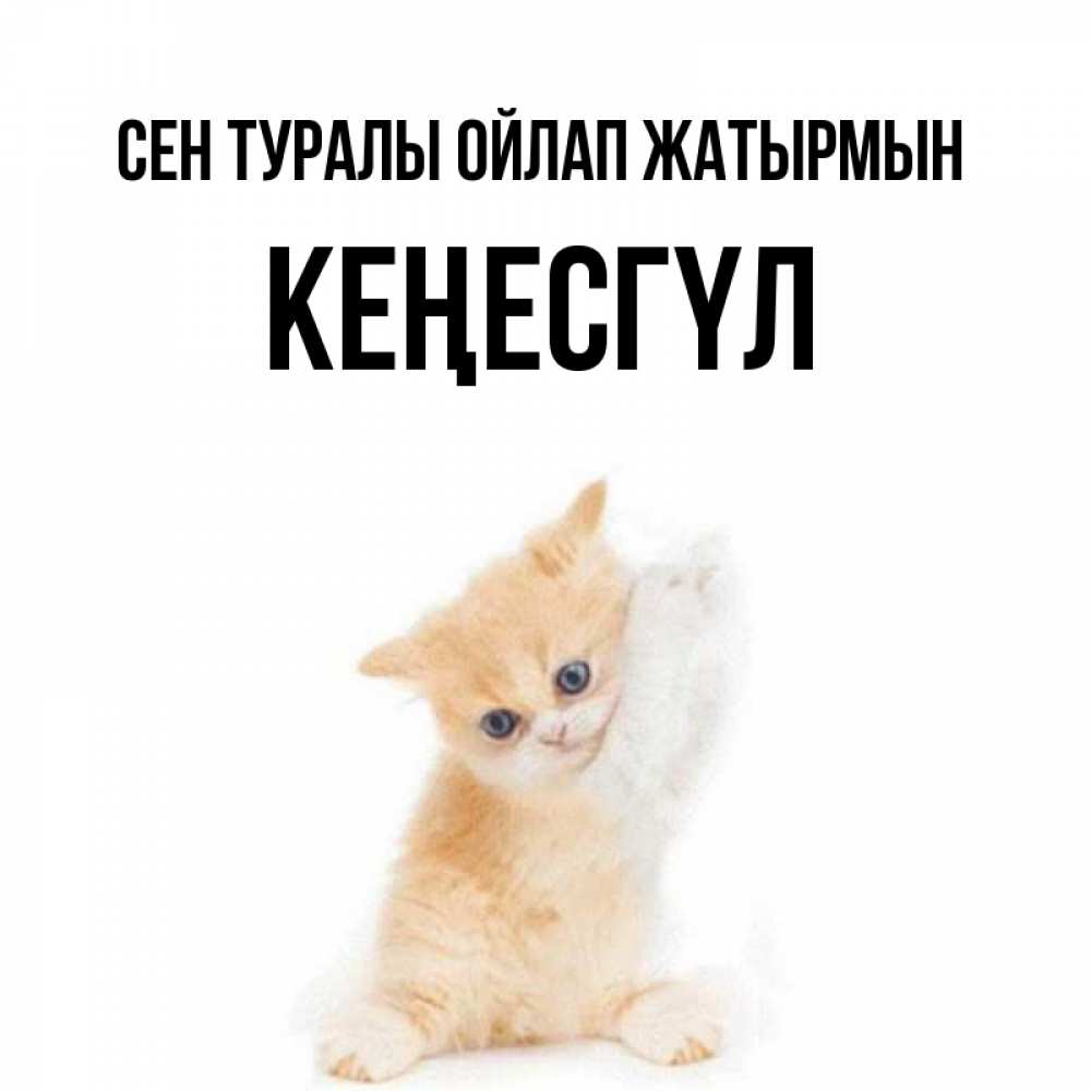 Күн сайын ашық хат с именем, КЕҢЕСГҮЛ Сен туралы ойлап жатырмын зверушки и милота Онлайн тегін жүктеп алу тілектері бар керемет карта 