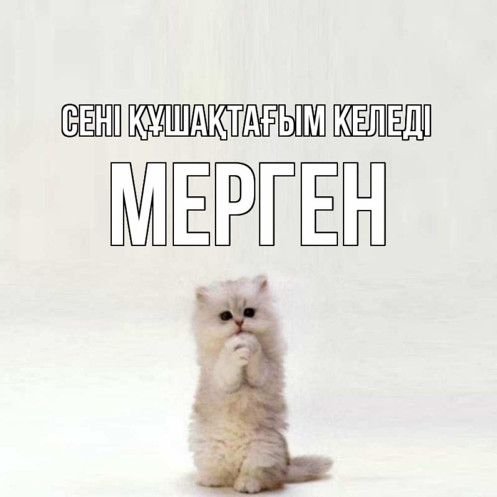 Күн сайын ашық хат с именем, МЕРГЕН сені құшақтағым келеді открытки с креативными подписями Онлайн тегін жүктеп алу тілектері бар керемет карта 