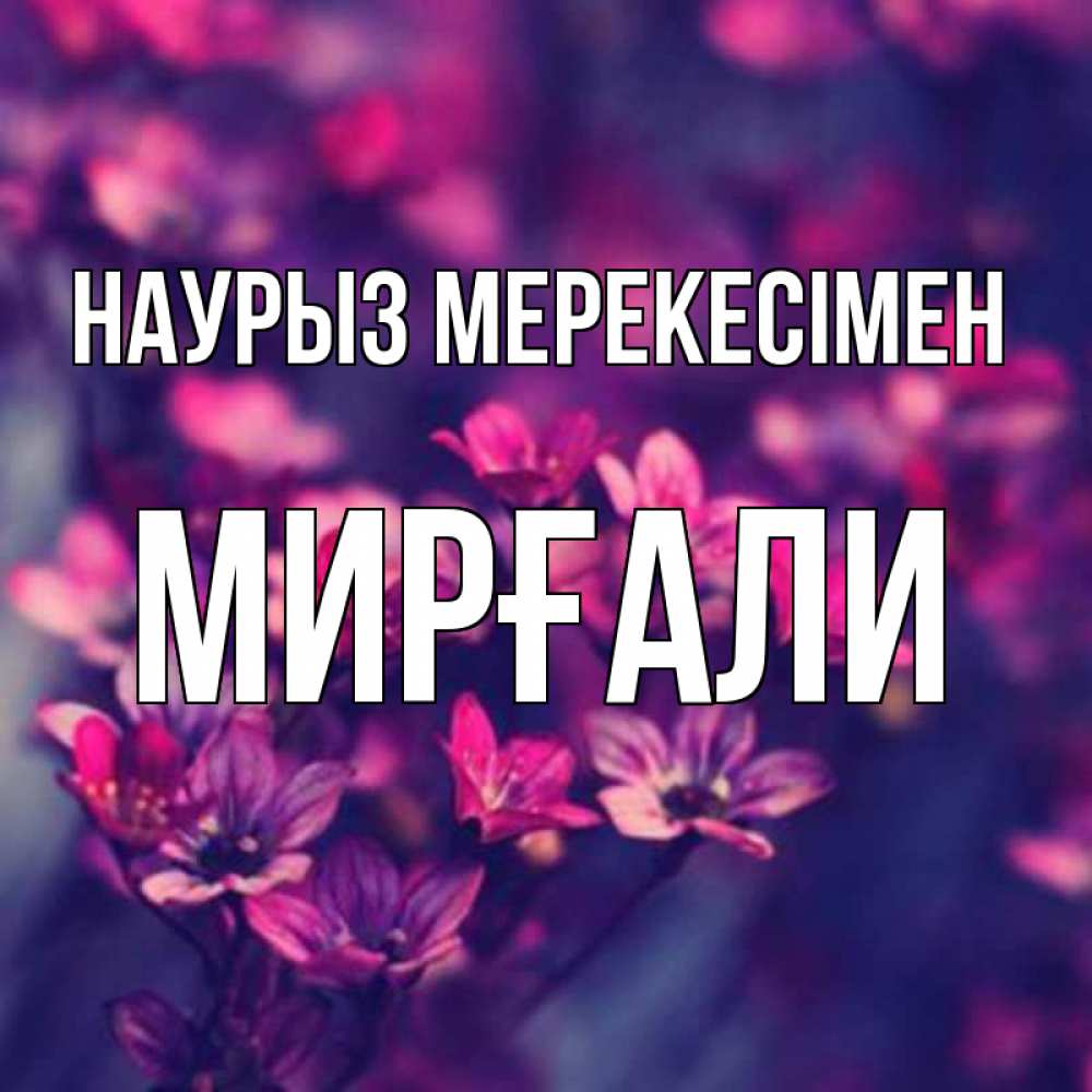 Күн сайын ашық хат с именем, МИРҒАЛИ Наурыз мерекесімен небольшие цветы 1 Онлайн тегін жүктеп алу тілектері бар керемет карта 