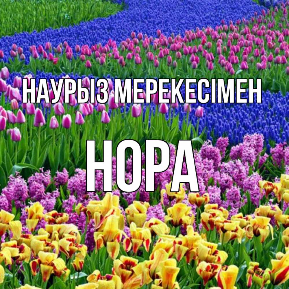 Күн сайын ашық хат с именем, Нора Наурыз мерекесімен цветы Онлайн тегін жүктеп алу тілектері бар керемет карта 