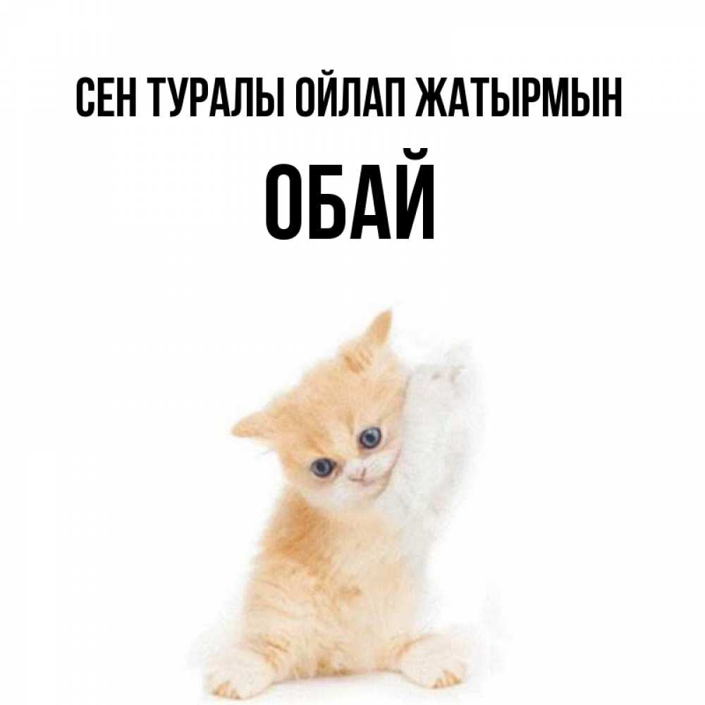 Күн сайын ашық хат с именем, ОБАЙ Сен туралы ойлап жатырмын зверушки и милота Онлайн тегін жүктеп алу тілектері бар керемет карта 