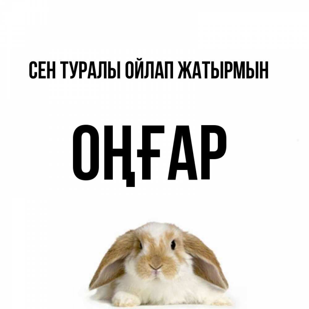 Күн сайын ашық хат с именем, ОҢҒАР Сен туралы ойлап жатырмын подписать своими руками онлайн Онлайн тегін жүктеп алу тілектері бар керемет карта 