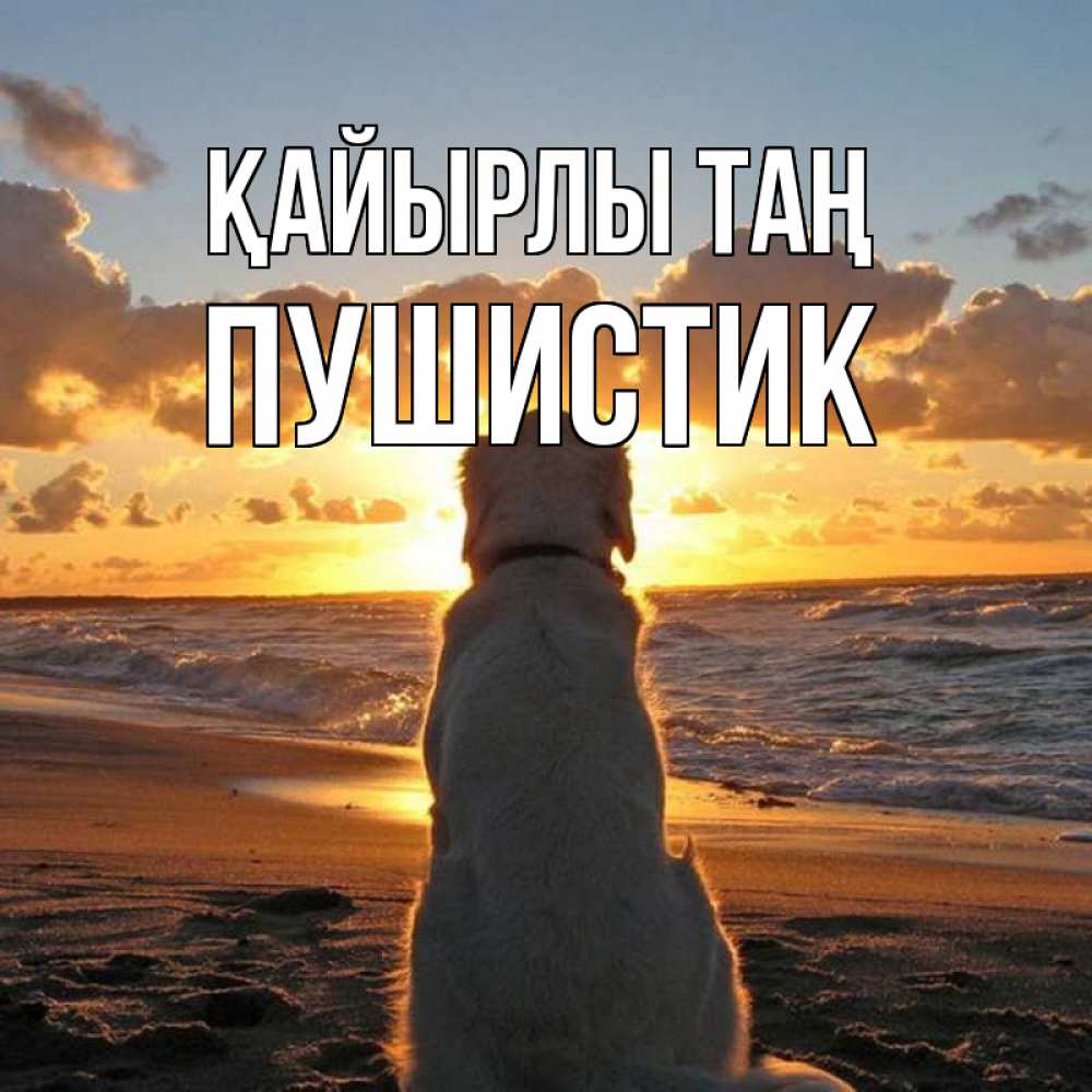 Күн сайын ашық хат с именем, Пушистик Қайырлы таң восход солнца Онлайн тегін жүктеп алу тілектері бар керемет карта 