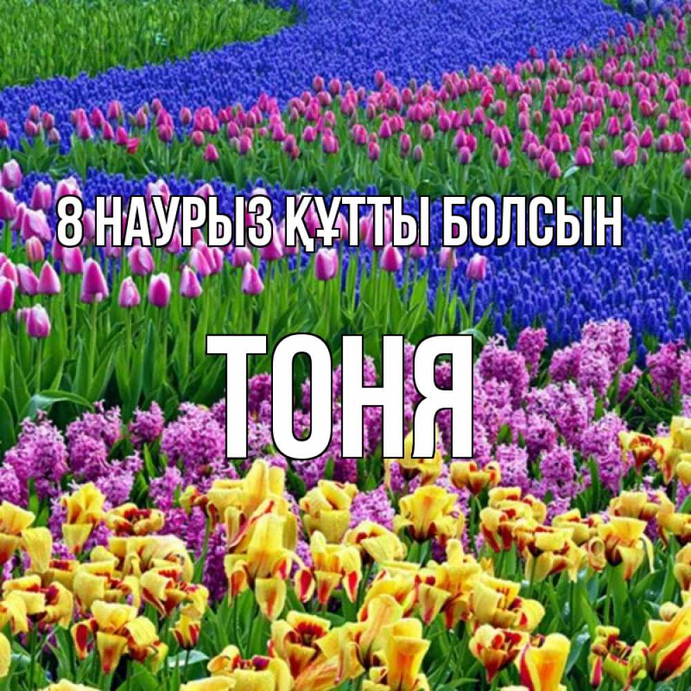 Күн сайын ашық хат с именем, Тоня 8 наурыз құтты болсын цветы Онлайн тегін жүктеп алу тілектері бар керемет карта 
