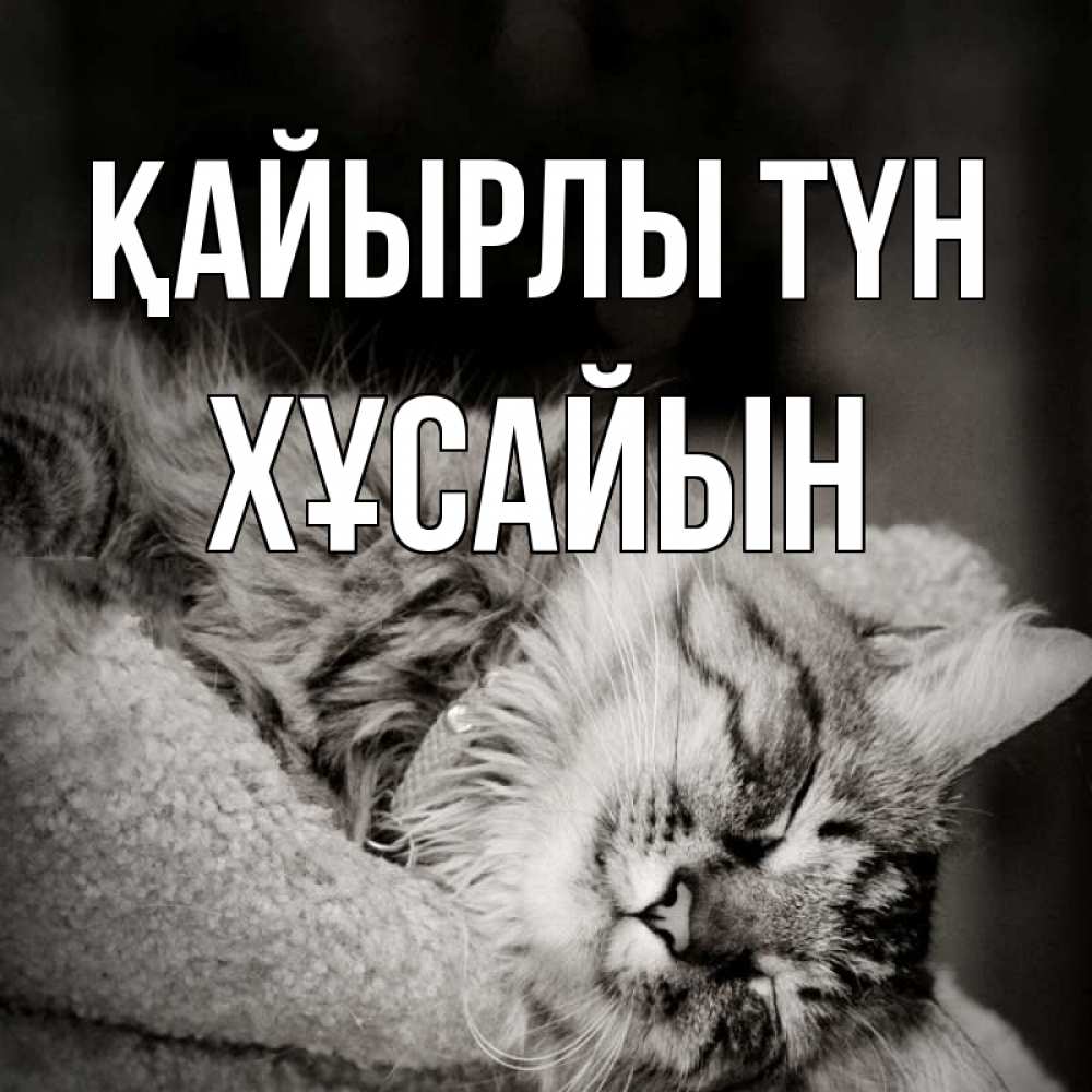 Күн сайын ашық хат с именем, ХҰСАЙЫН Қайырлы түн котярик пушистый Онлайн тегін жүктеп алу тілектері бар керемет карта 