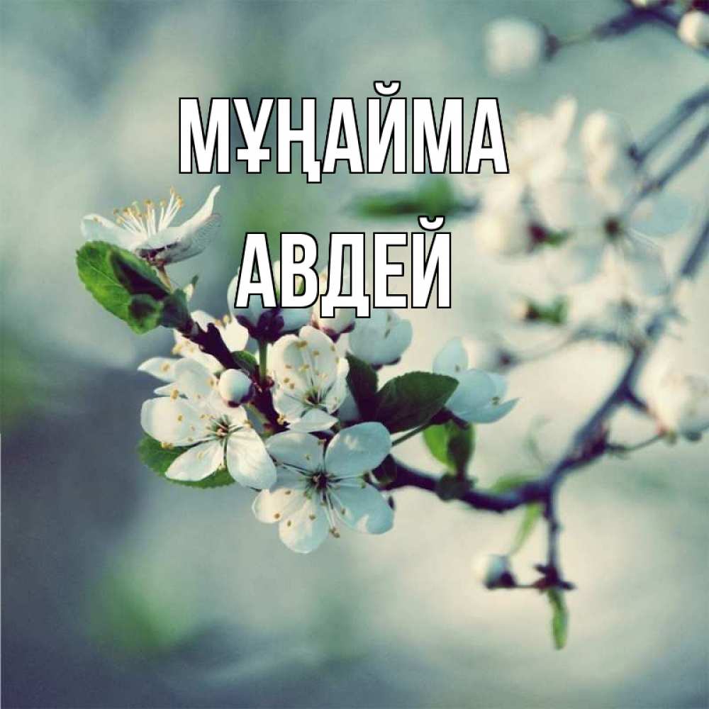 Күн сайын ашық хат с именем, Авдей Мұңайма яблоня в цвету 1 Онлайн тегін жүктеп алу тілектері бар керемет карта 