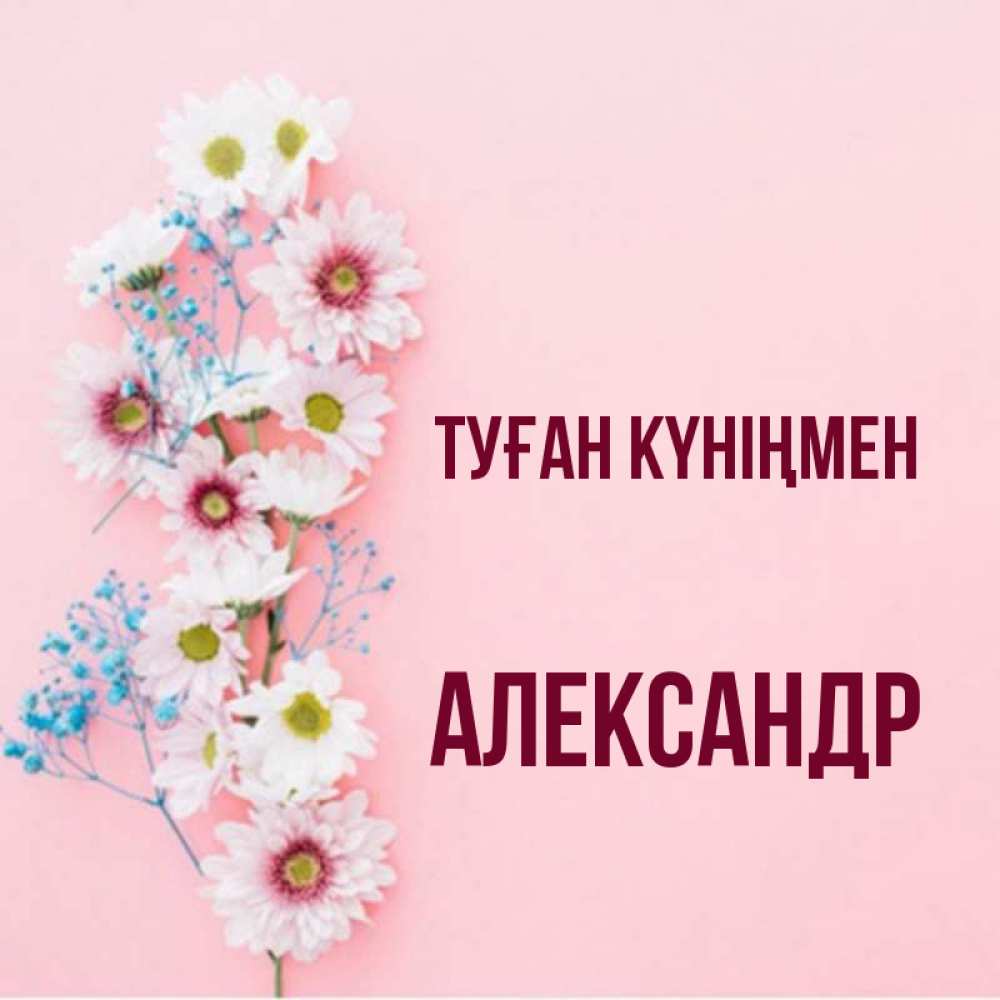 Күн сайын ашық хат с именем, Александр Туған күніңмен Родная моя с днем рождения тебя картинка с цветами белыми и голубыми Онлайн тегін жүктеп алу тілектері бар керемет карта 