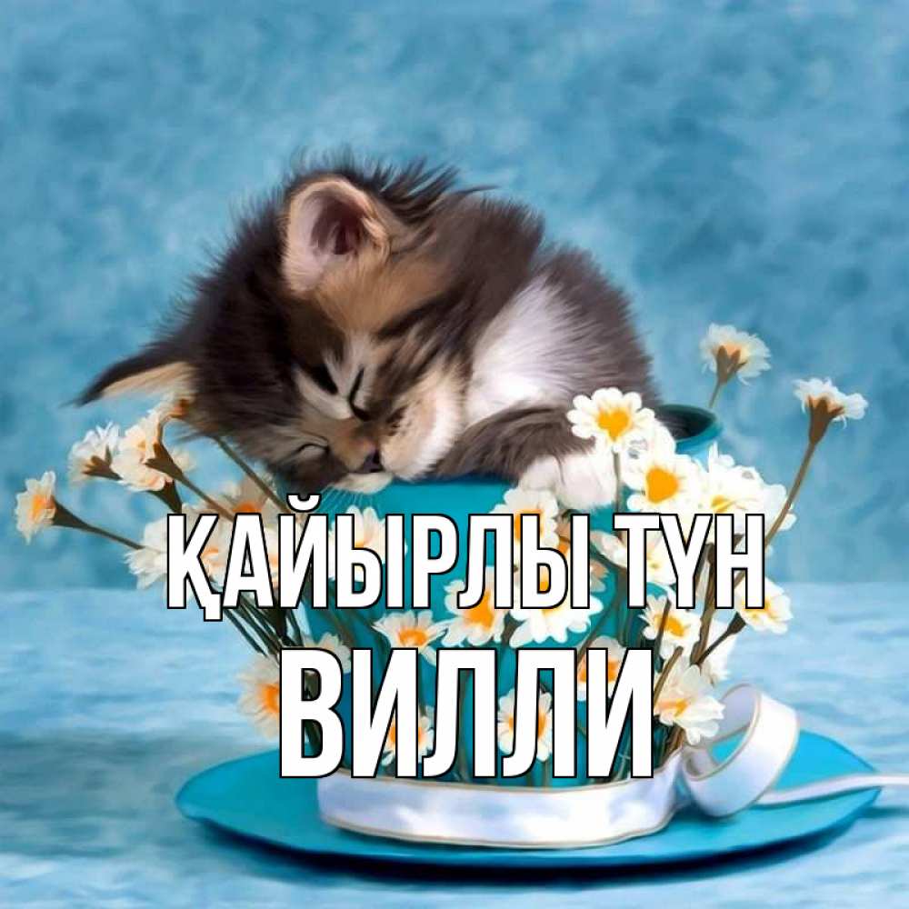 Күн сайын ашық хат с именем, Вилли Қайырлы түн котенок спит в кружке с блюдцем Онлайн тегін жүктеп алу тілектері бар керемет карта 
