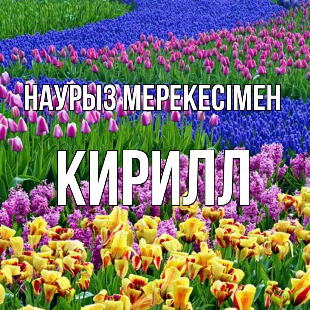 Күн сайын ашық хат с именем, Кирилл Наурыз мерекесімен цветы Онлайн тегін жүктеп алу тілектері бар керемет карта 