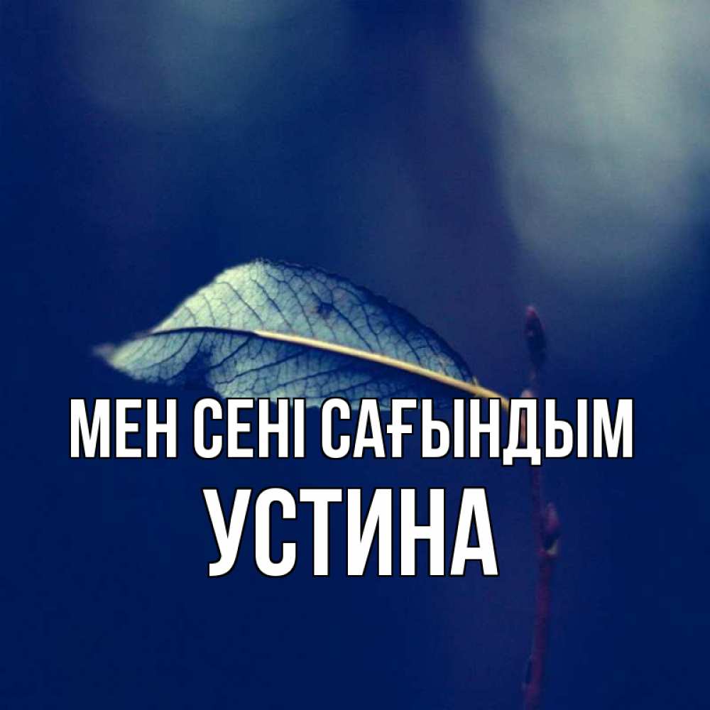 Күн сайын ашық хат с именем, Устина Мен сені сағындым одна ветка 1 Онлайн тегін жүктеп алу тілектері бар керемет карта 