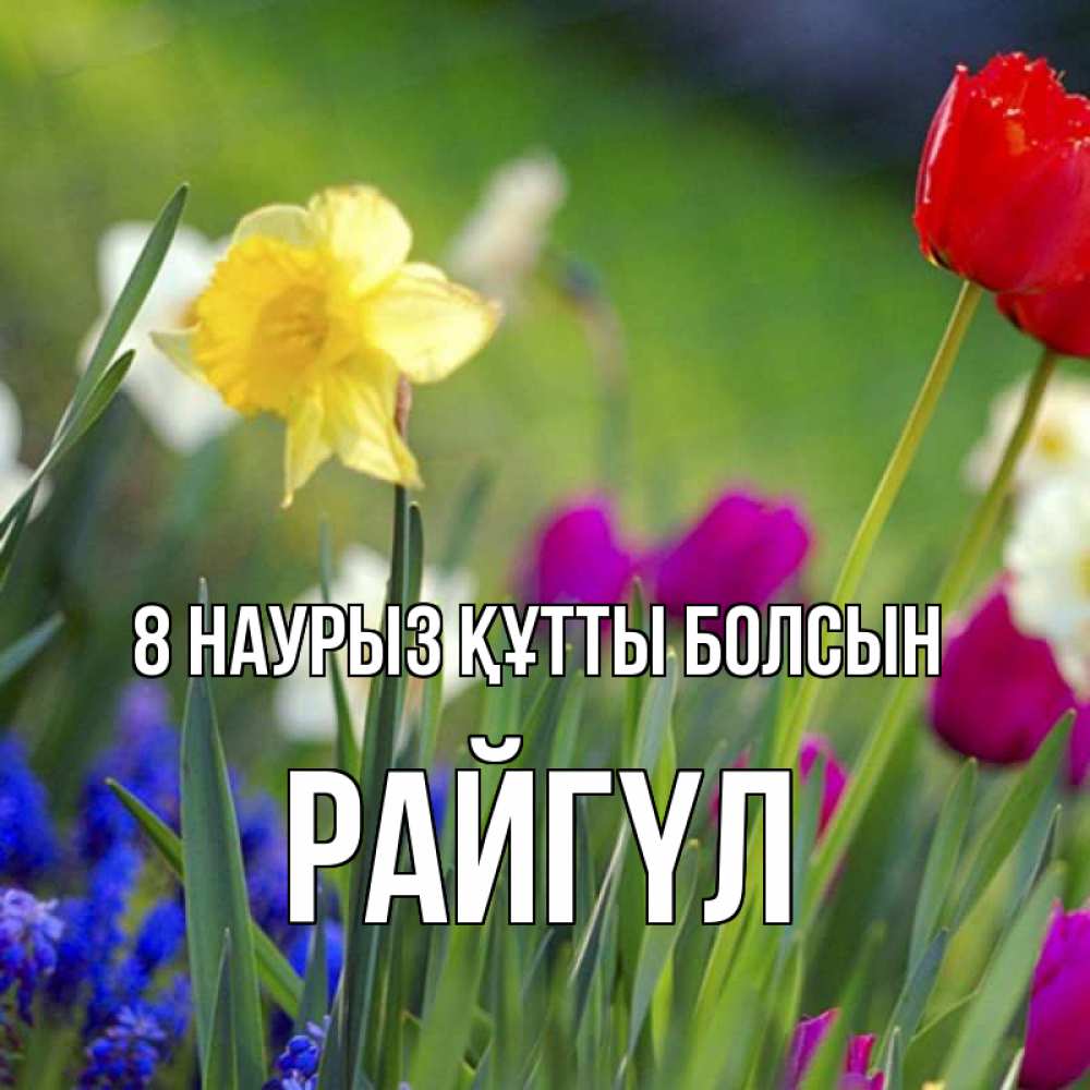 Күн сайын ашық хат с именем, РАЙГҮЛ 8 наурыз құтты болсын международный женский день 3 Онлайн тегін жүктеп алу тілектері бар керемет карта 
