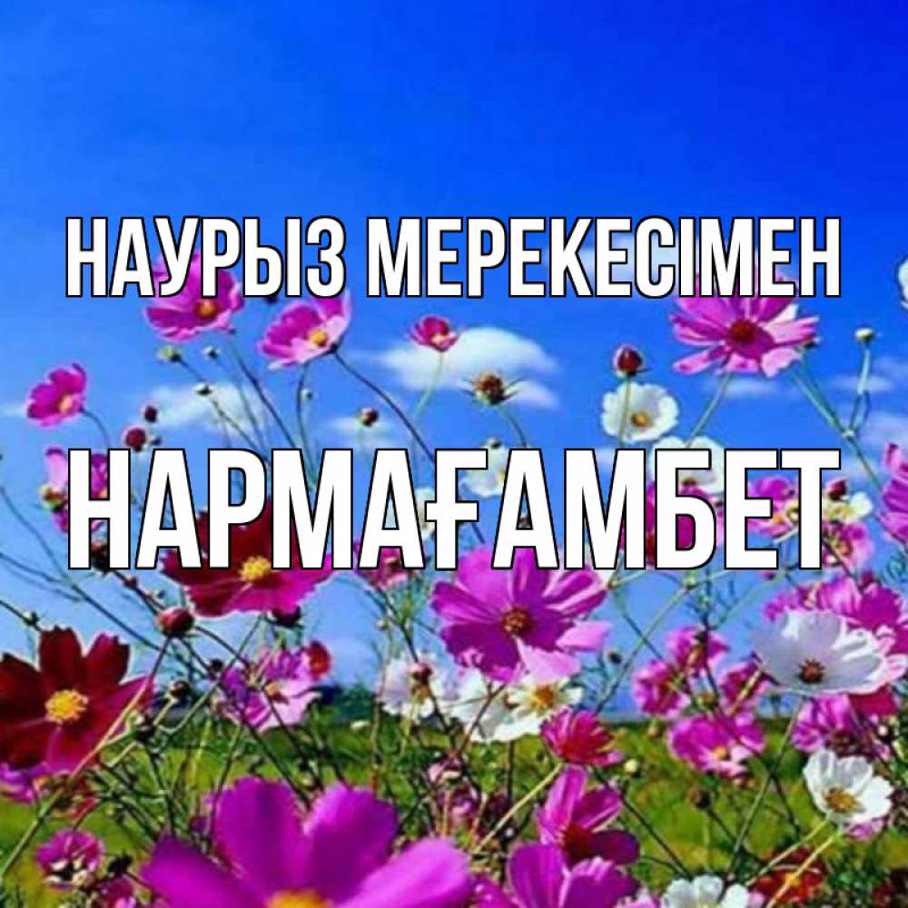 Күн сайын ашық хат с именем, НАРМАҒАМБЕТ Наурыз мерекесімен цветы Онлайн тегін жүктеп алу тілектері бар керемет карта 