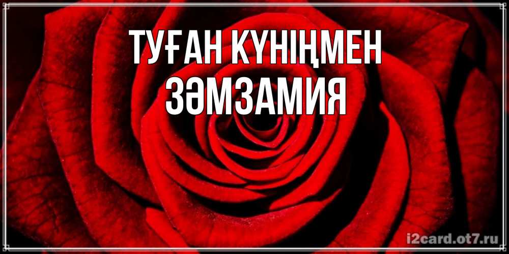 Күн сайын ашық хат с именем, ЗӘМЗАМИЯ Туған күніңмен алая роза Онлайн тегін жүктеп алу тілектері бар керемет карта 