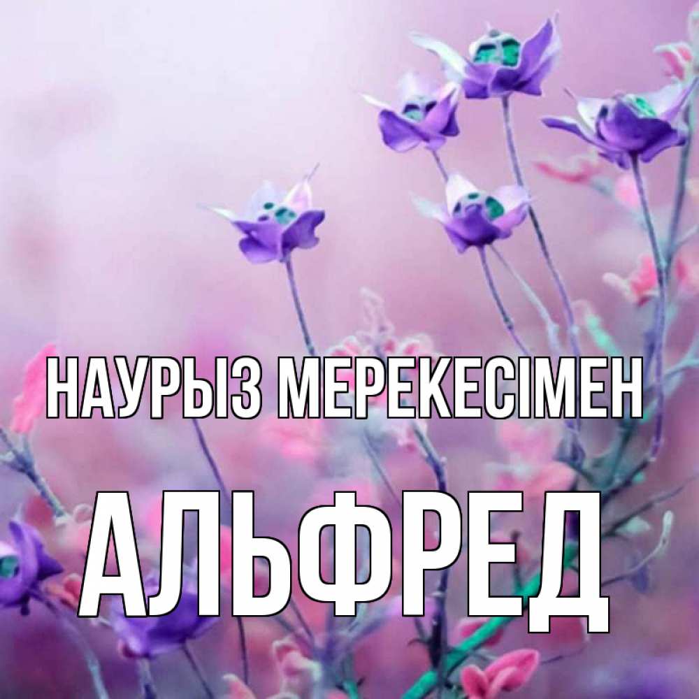 Күн сайын ашық хат с именем, Альфред Наурыз мерекесімен международный женский день 2 Онлайн тегін жүктеп алу тілектері бар керемет карта 