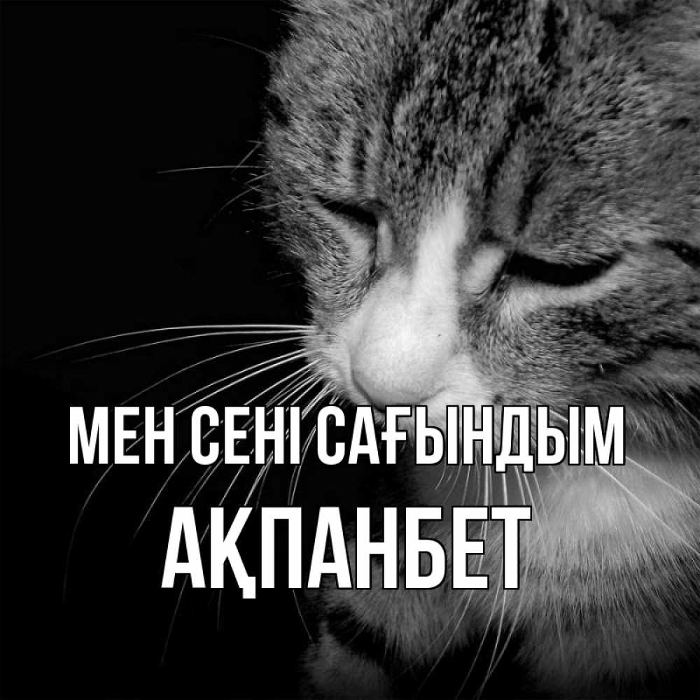 Күн сайын ашық хат с именем, Ақпанбет Мен сені сағындым мне скучно Онлайн тегін жүктеп алу тілектері бар керемет карта 