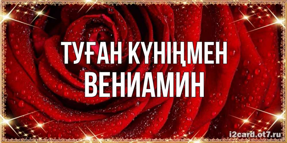 Күн сайын ашық хат с именем, Вениамин Туған күніңмен роса на розе блестящая в лучах солнца Онлайн тегін жүктеп алу тілектері бар керемет карта 