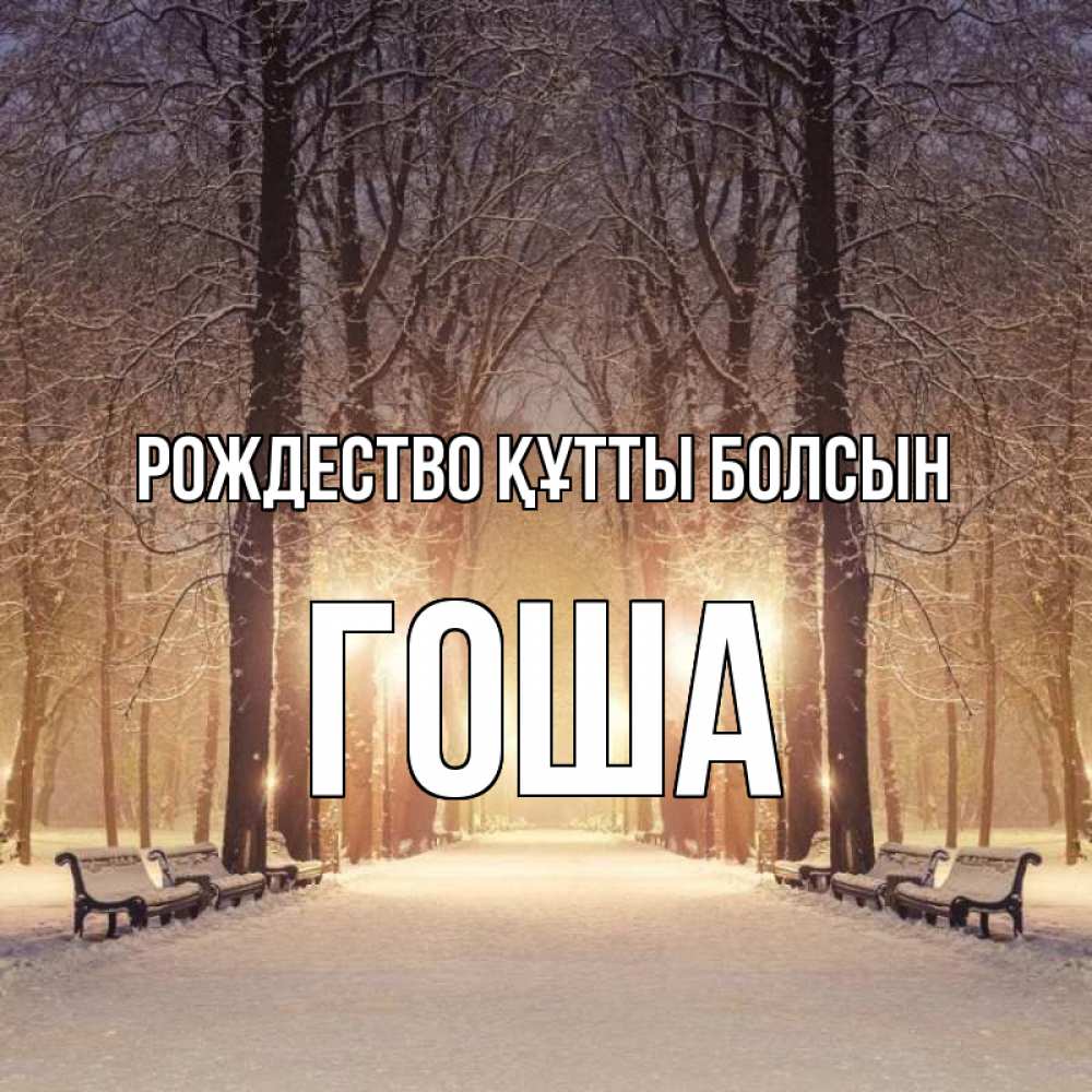 Күн сайын ашық хат с именем, Гоша Рождество құтты болсын зима, парк, фонарь, лес Онлайн тегін жүктеп алу тілектері бар керемет карта 