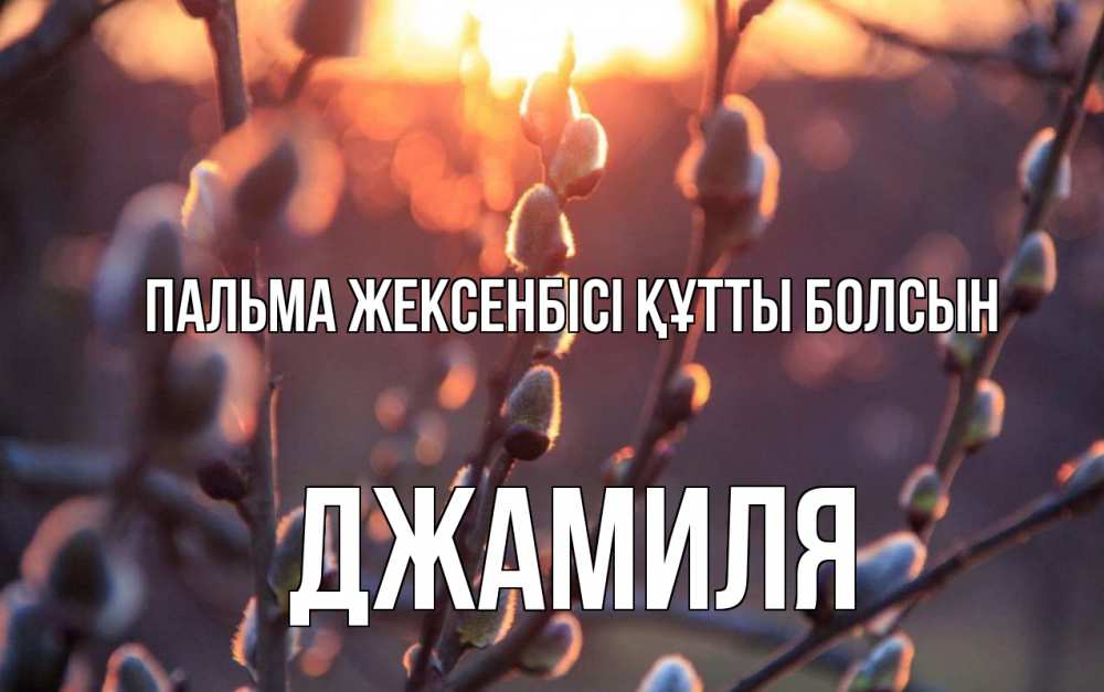 Картинка Пальма жексенбісі құтты болсын, Джамиля