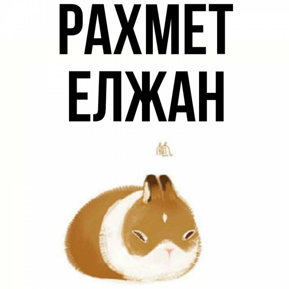 Күн сайын ашық хат с именем, Елжан рахмет коричнево белый домашний питомец Онлайн тегін жүктеп алу тілектері бар керемет карта 