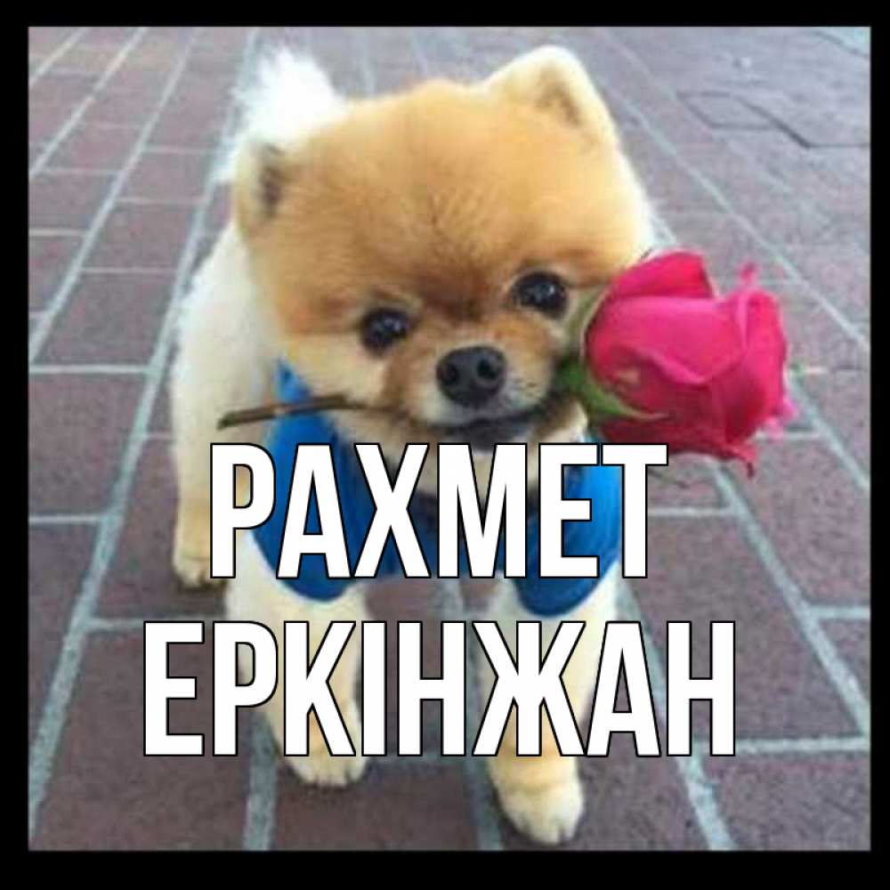 Күн сайын ашық хат с именем, Еркінжан рахмет спасибо и дарю тебе цветок Онлайн тегін жүктеп алу тілектері бар керемет карта 
