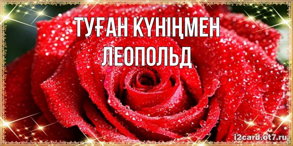 Күн сайын ашық хат с именем, Леопольд Туған күніңмен роса и роза. открытка с красивой розой Онлайн тегін жүктеп алу тілектері бар керемет карта 