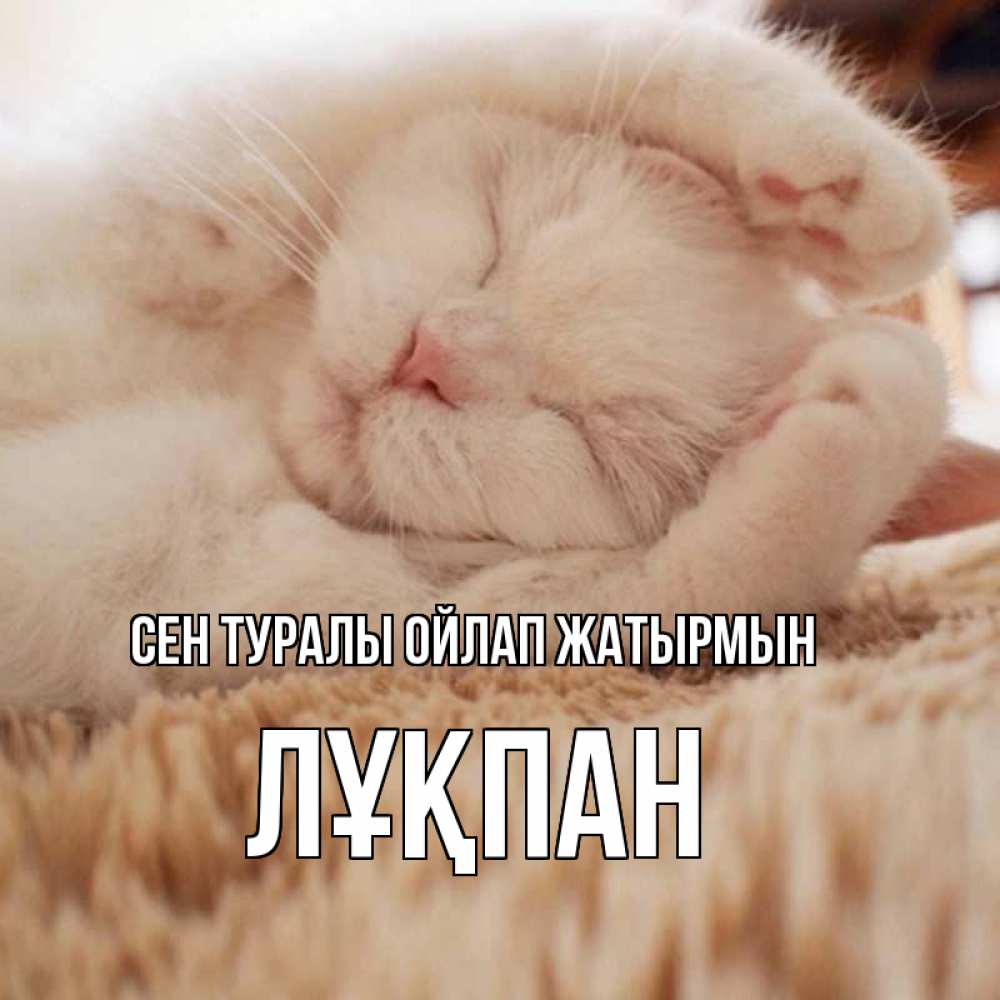 Күн сайын ашық хат с именем, ЛҰҚПАН Сен туралы ойлап жатырмын для любимой девушки милота Онлайн тегін жүктеп алу тілектері бар керемет карта 