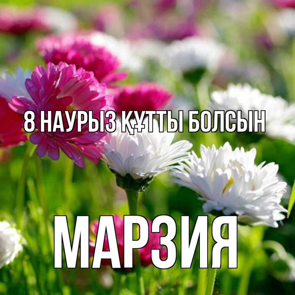 Күн сайын ашық хат с именем, МАРЗИЯ 8 наурыз құтты болсын международный женский день 1 Онлайн тегін жүктеп алу тілектері бар керемет карта 