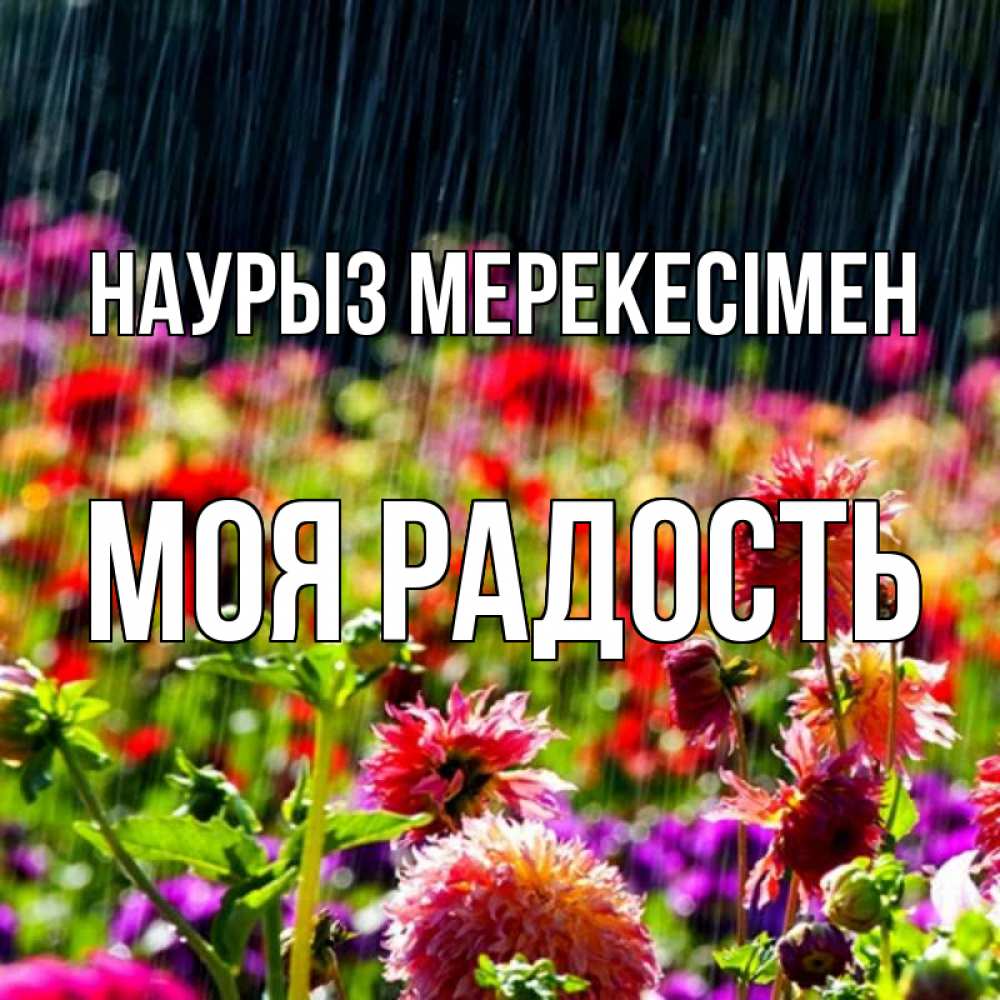 Күн сайын ашық хат с именем, Моя-радость Наурыз мерекесімен цветы под дождиком к международному женскому дню Онлайн тегін жүктеп алу тілектері бар керемет карта 