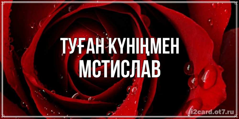 Күн сайын ашық хат с именем, Мстислав Туған күніңмен крупная бордовая роза Онлайн тегін жүктеп алу тілектері бар керемет карта 